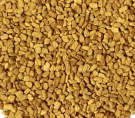 FENUGREEK (मेथी) view 2