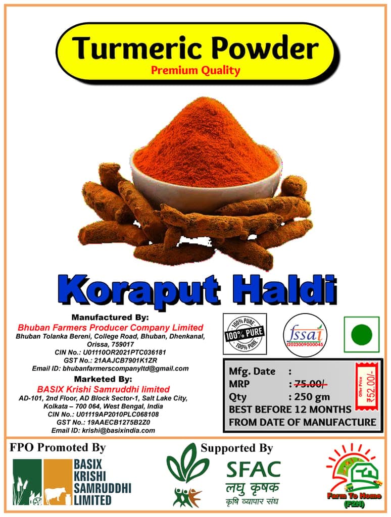 Turmeric Powder | Koratut Haldi | Premium Quality | 250 gm view 2