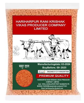 MASOOR DAL