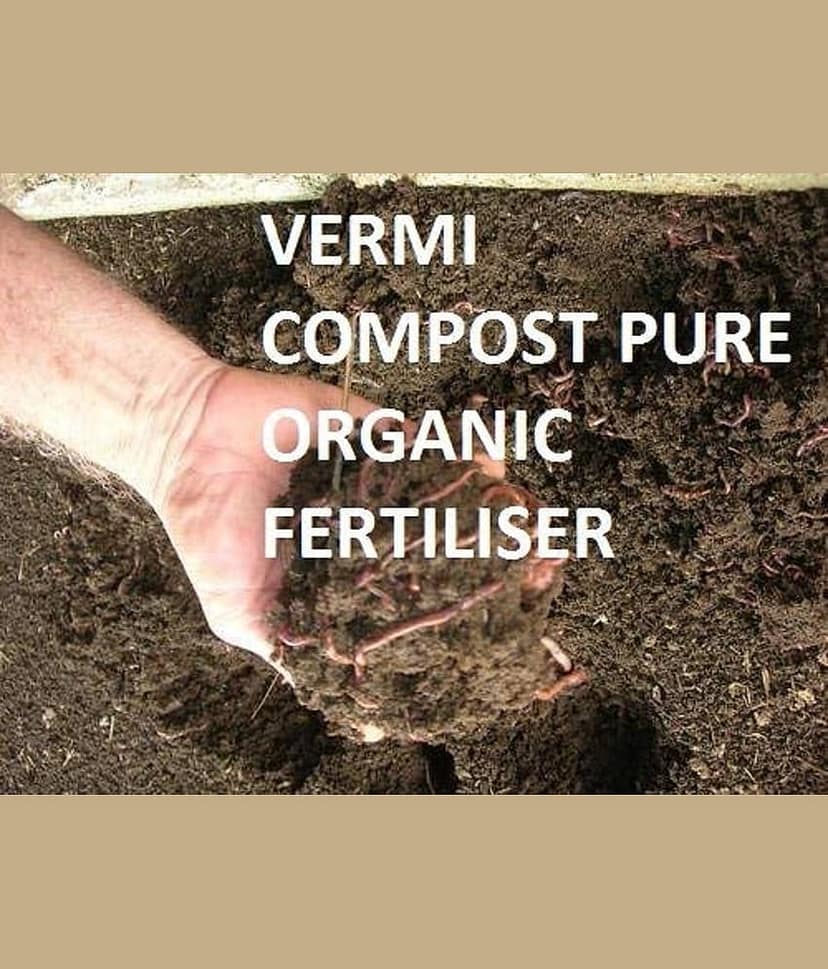 Organic Super Vermicompost for All Types of Plants view 2
