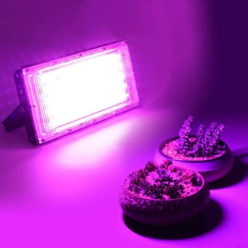 SPARKWORLD Pink Flood Light Outdoor Lamp | Colour: Pink (Pack of 1) view 2