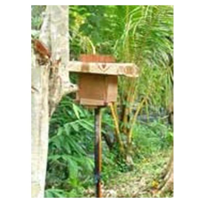 100% Pure, Natural & Ethically Sourced Honey – Raw, Unprocessed, Unfiltered & Unpasteurized Honey from Kerala view 2