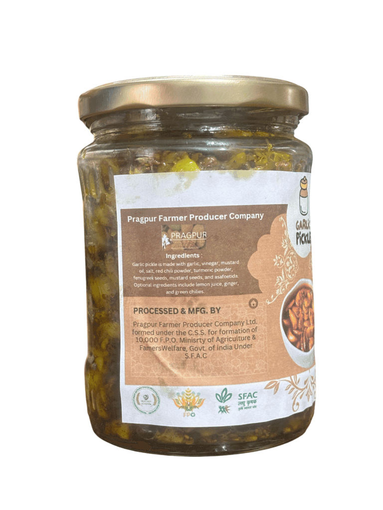 Garlic Pickle view 2
