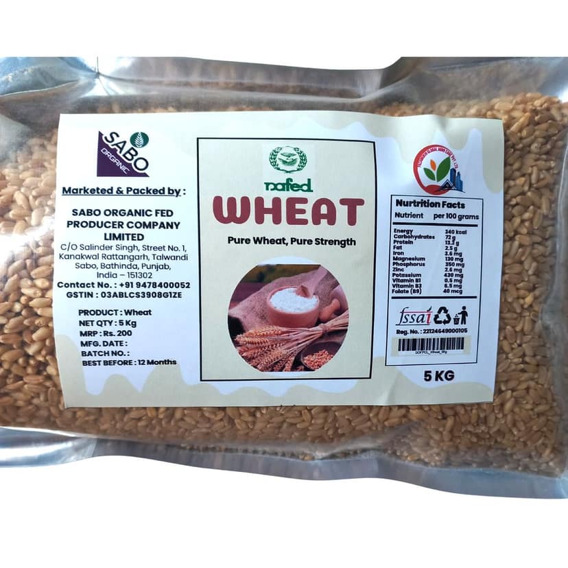 Wheat Grains view 2
