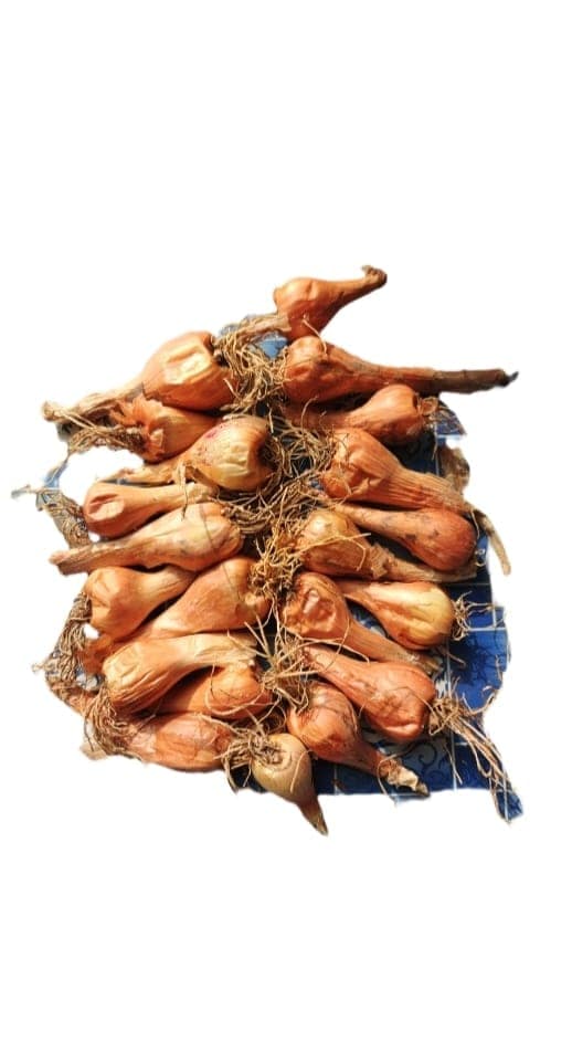 Organic Kashmiri Shallots - 1 Kg view 2