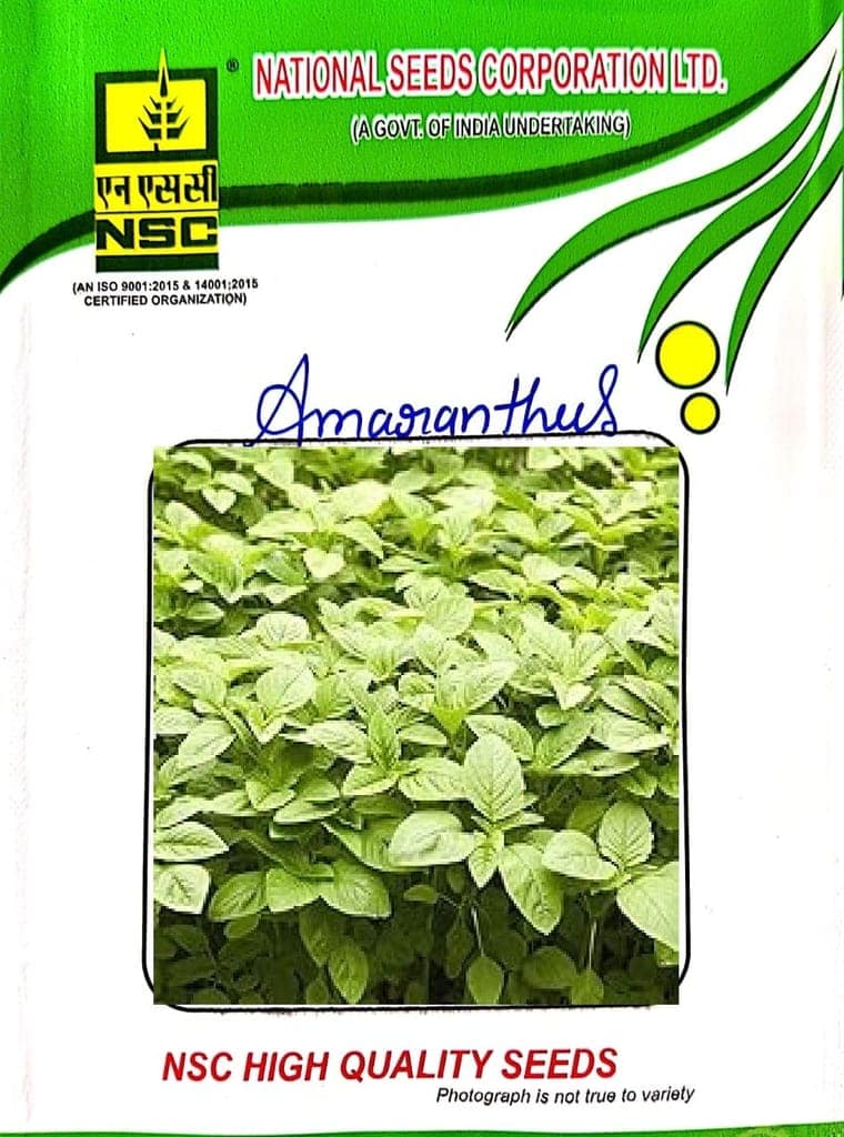 NSC-AMARANTHUS-ARKA SUGUNA-500 GMS SEEDS