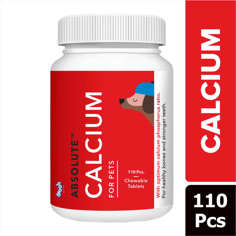 Drools Absolute Skin & Coat and Absolute Calcium Dog Supplement Tablets Combo Drools Absolute Skin & Coat and Absolute Calcium Dog Supplement Tablets Combo - 110pcs+110pcs view 2