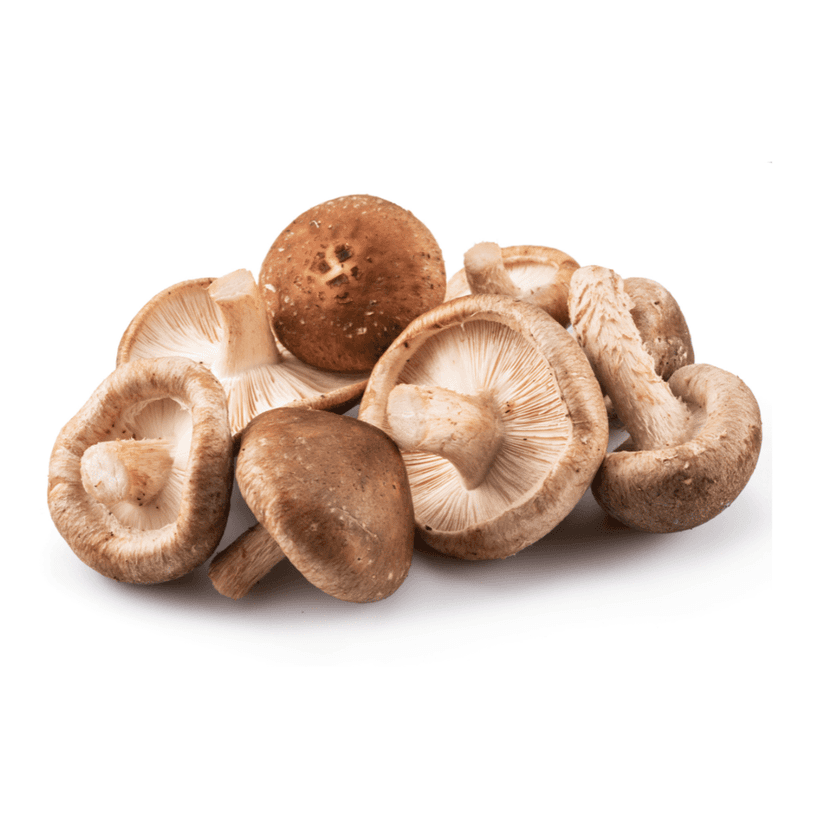 Premium Quality Dry Shiitake Mushrooms | Rich in Flavor and Nutrients 100 gm view 2