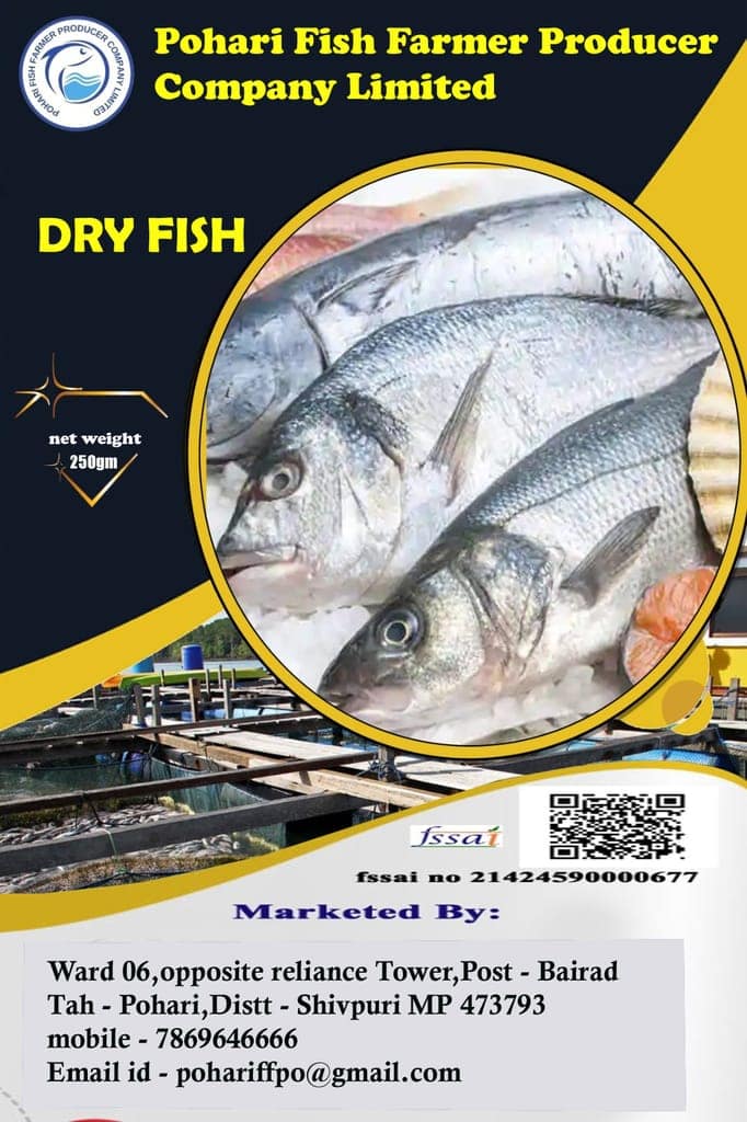 DRY FISH view 2
