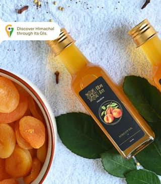 Apricot Oil – Pure Cold-Pressed Pahadi Gutti Ka Tel | 100ml