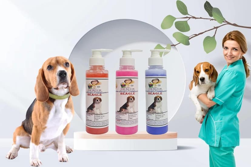 SWACCH Premium Shampoo for Beagle (200ML)(Combo Pack of 3) Jasmine, Rose & Lavender view 2