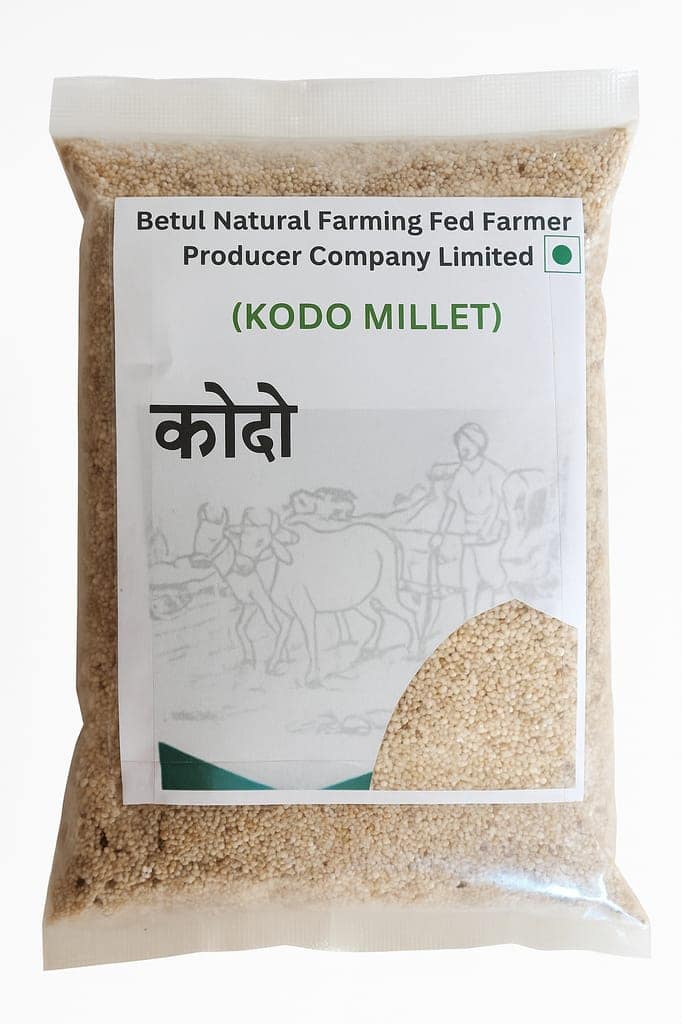 Kodo Millet