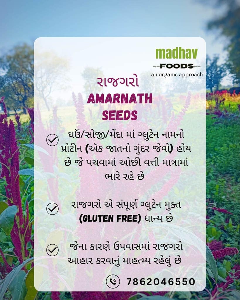 Rajgira Seeds Organic (Amaranth Seeds) view 2