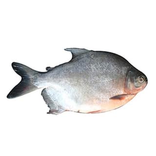 Roopchand / River Pomfret (Cleaned) 1Kg