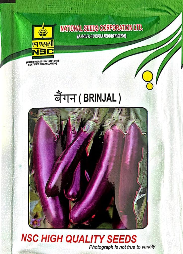 NSC BRINJAL PPL SEEDS - 10GM