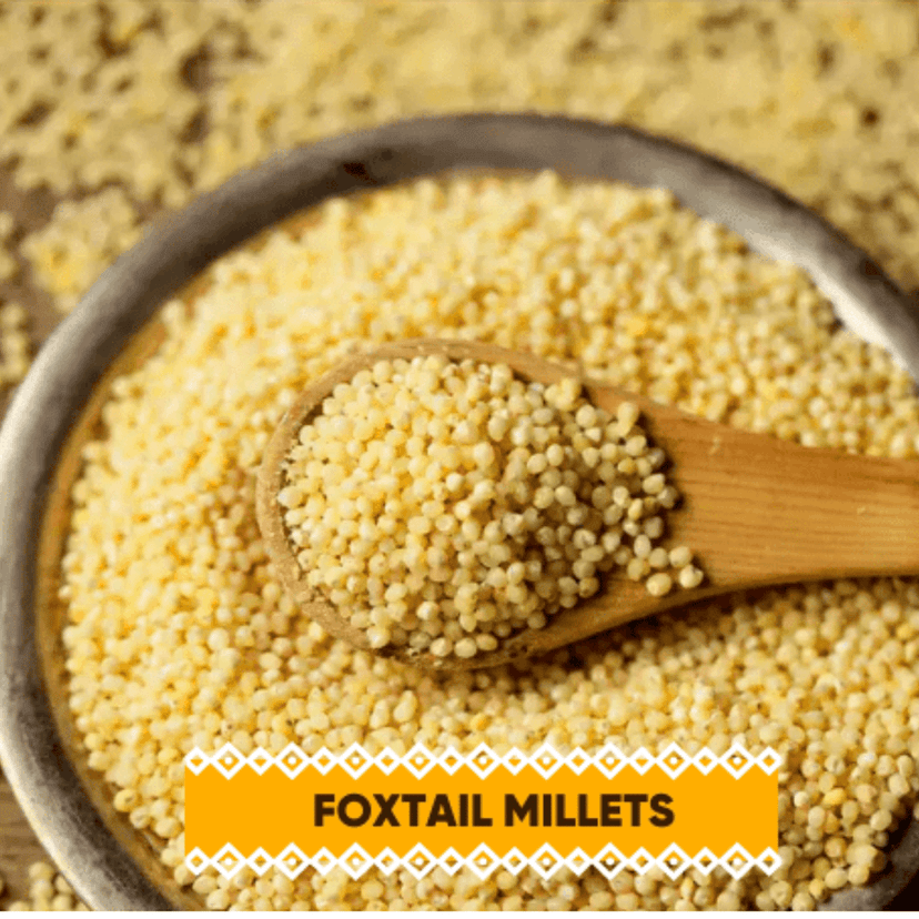 Foxtail Millet Whole Grain | Kangani | Gluten Free | No Chemicals | High Plant Protein and Fibre | Millet Rice | Vegan | 100% Whole Grain | 500 gm view 2