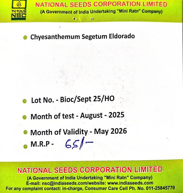 NSC Chrysanthemum segetum Eldorado-3gms view 2