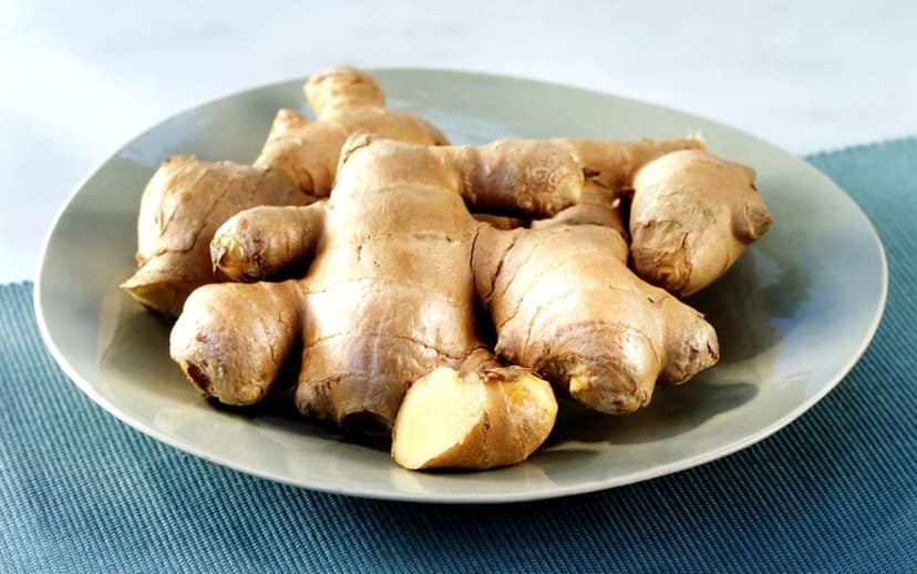 GINGER view 2