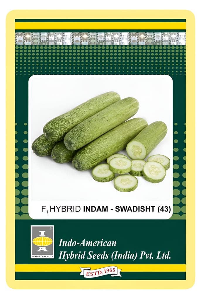 CUCUMBER INDAM SWADISHT (43) HYBRID SEEDS view 2