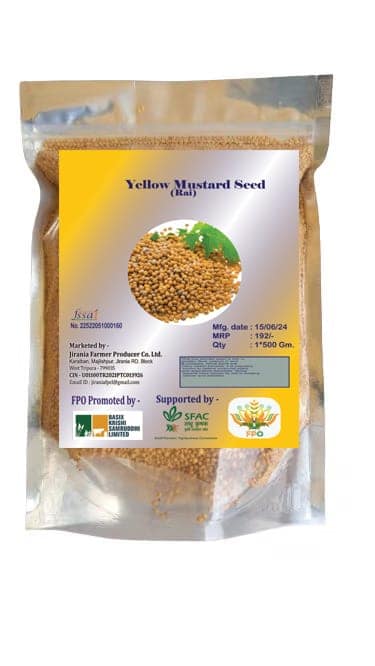 Yellow Mustard Seed (Rai) | 500gm view 2