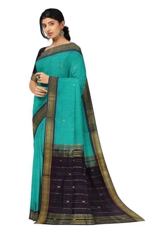 APCO Handloom (A Andhra Pradesh Govt Emporium)- Women's Traditional Pure Handloom Bandar (Polavaram) Cotton Saree | BCS0070 view 2