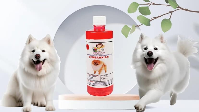 Swacch Shampoo Specially Formulated for Pomeranian (500ml) Jasmine