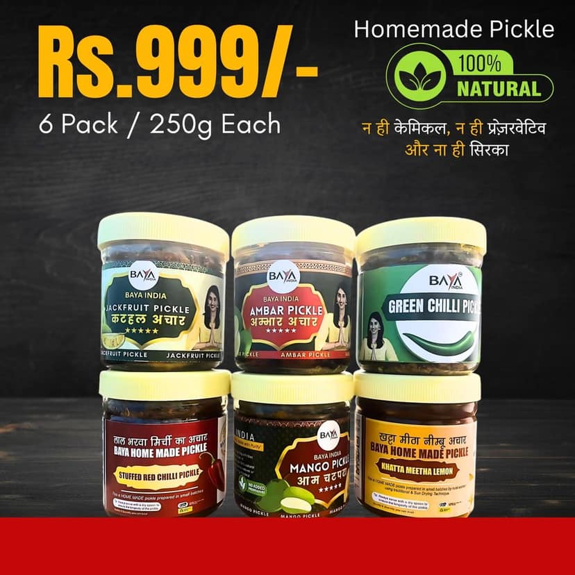 Baya India Homemade Pickle Combo – 6 Flavors (250g Each) | Traditional Taste | No Chemicals & Preservatives | Authentic Indian Achaar view 2