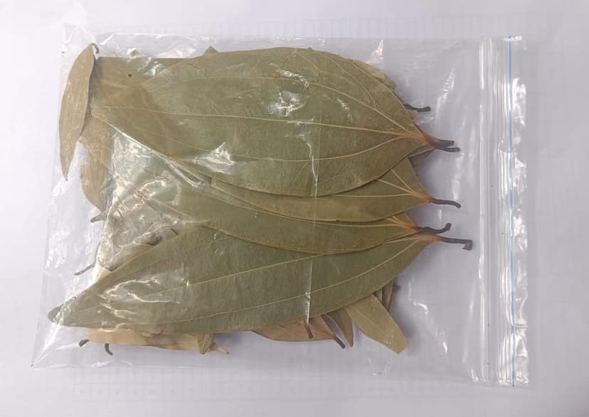 Bay Leaf view 2