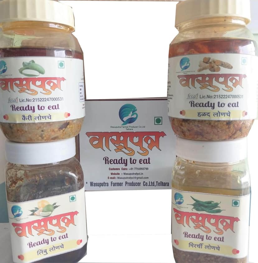 Gift Pack of Pickle (Lemon,Mango,Termeric,Chili) view 2