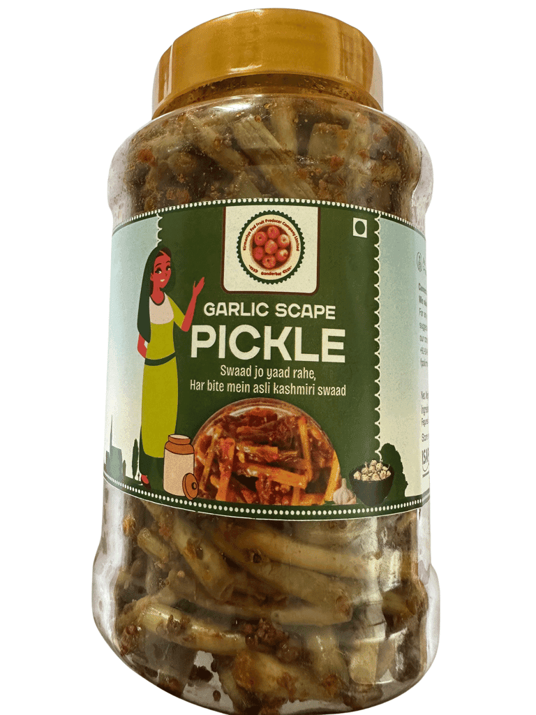 Kashmiri Garlic Scape Pickle