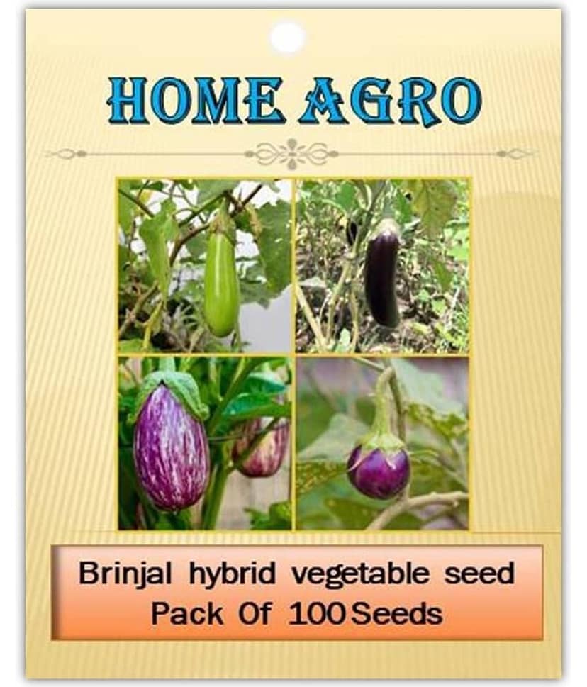 homeagro - Brinjal Vegetable ( 100 Seeds ) view 2