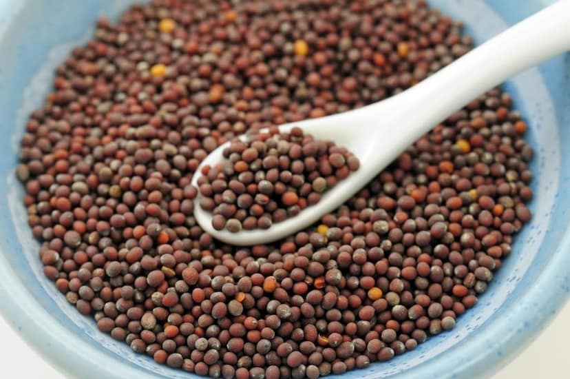 Sigotar Rai/Mustard Seeds BIG | Pure | Sarson | Rich Flavour 500g view 2