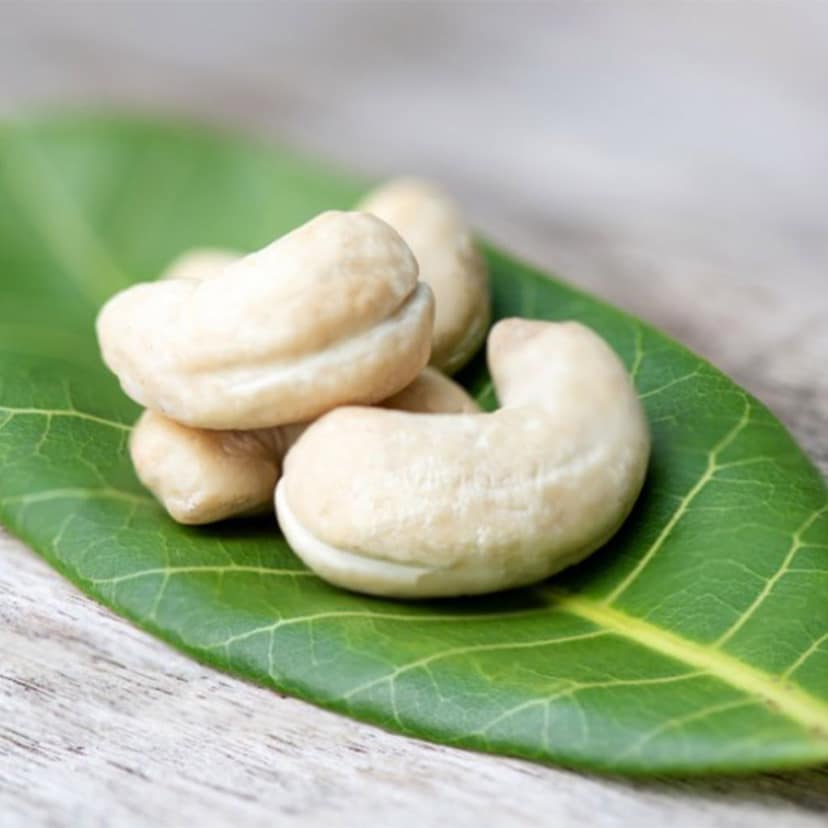 Premium Quality non roasted Cashew Nuts From Kerala view 2