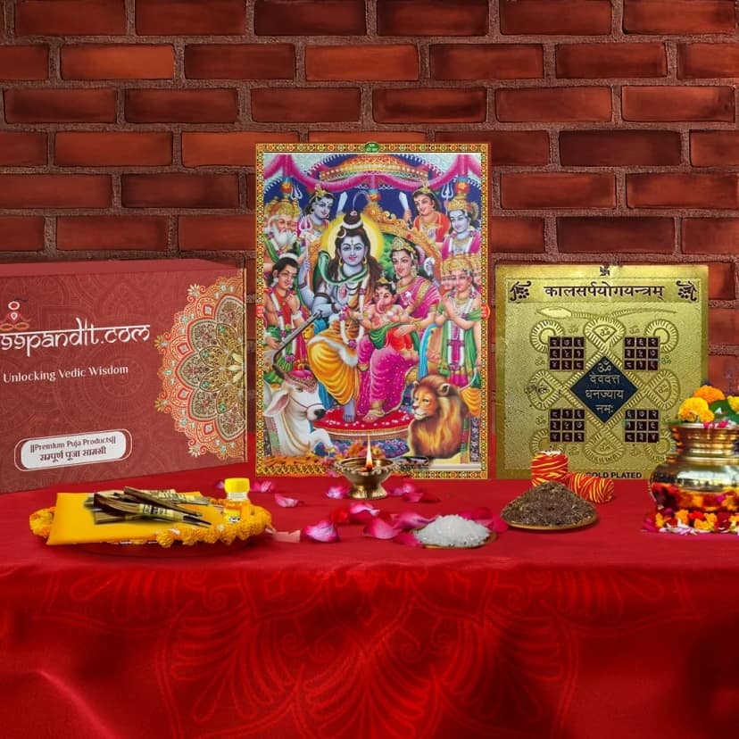 Vedic Kaal Sarp Dosh Puja Samagri Kit 26 Items
