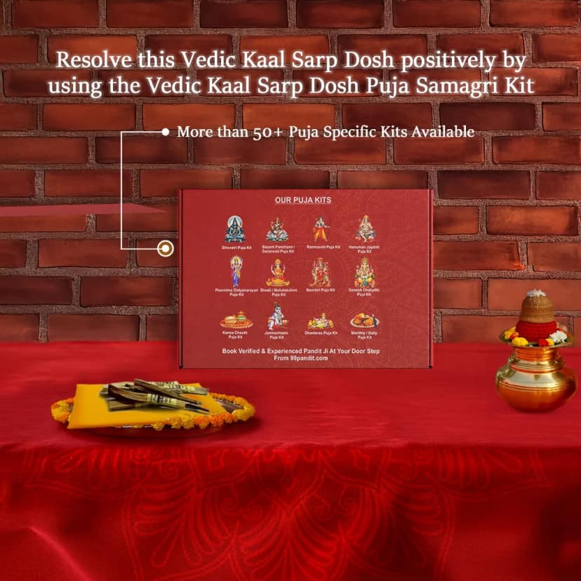 Vedic Kaal Sarp Dosh Puja Samagri Kit 26 Items view 2